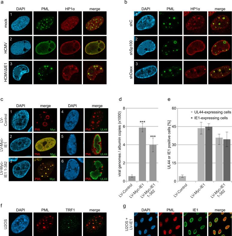 https://cdn.ncbi.nlm.nih.gov/pmc/blobs/28d6/8975554/ea2d999d7cca/elife-73006-fig6.jpg