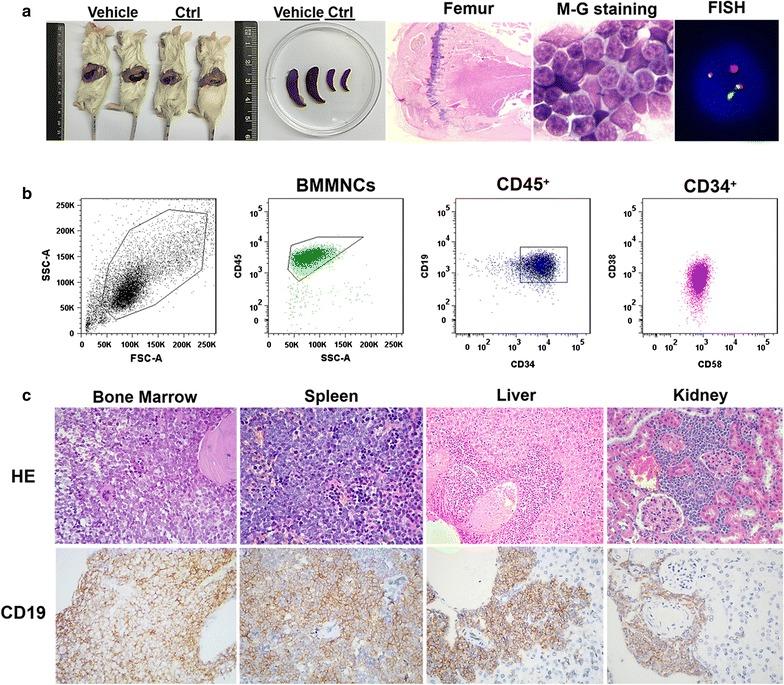 https://cdn.ncbi.nlm.nih.gov/pmc/blobs/28dd/5577751/0414835c175b/12967_2017_1286_Fig4_HTML.jpg