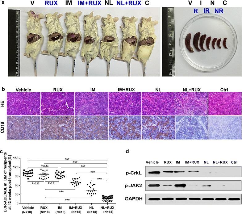 https://cdn.ncbi.nlm.nih.gov/pmc/blobs/28dd/5577751/205c4d53d532/12967_2017_1286_Fig6_HTML.jpg
