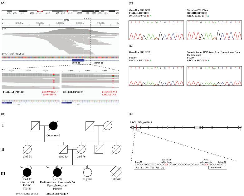 https://cdn.ncbi.nlm.nih.gov/pmc/blobs/28de/9032308/0e7e78d261a0/genes-13-00697-g001.jpg