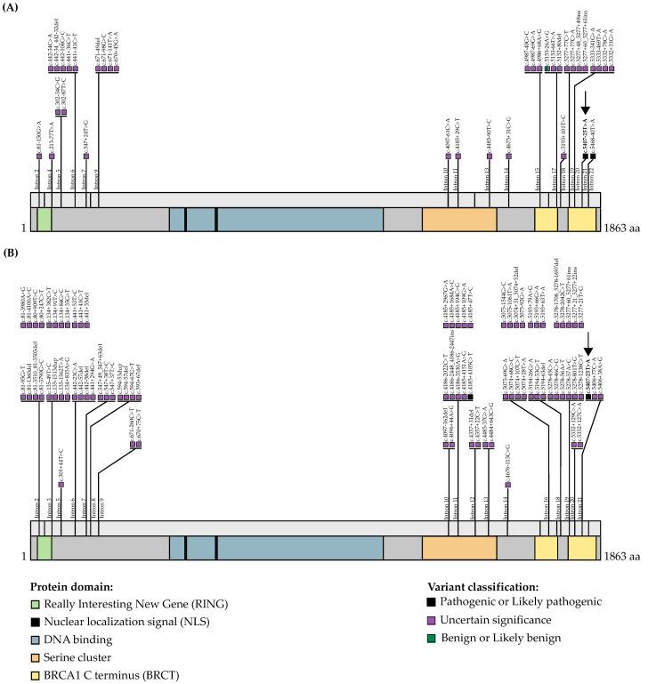 https://cdn.ncbi.nlm.nih.gov/pmc/blobs/28de/9032308/f3546c1c99c6/genes-13-00697-g002.jpg