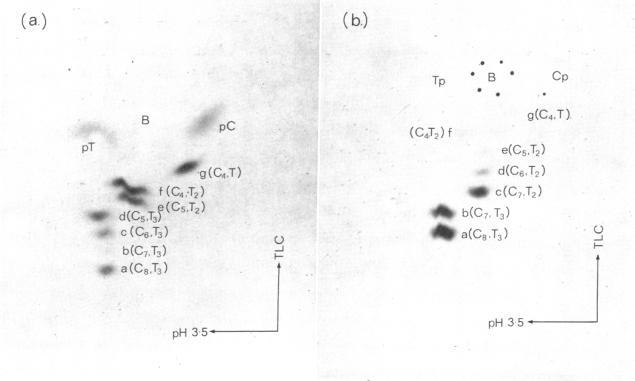 https://cdn.ncbi.nlm.nih.gov/pmc/blobs/28df/426548/9f3fa21639bf/pnas00129-0218-a.jpg