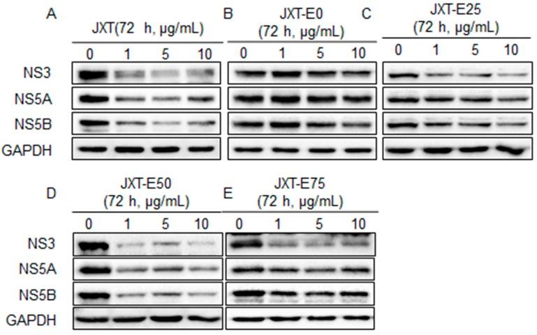 https://cdn.ncbi.nlm.nih.gov/pmc/blobs/28e0/6274077/6467677777f6/molecules-21-01367-g002.jpg