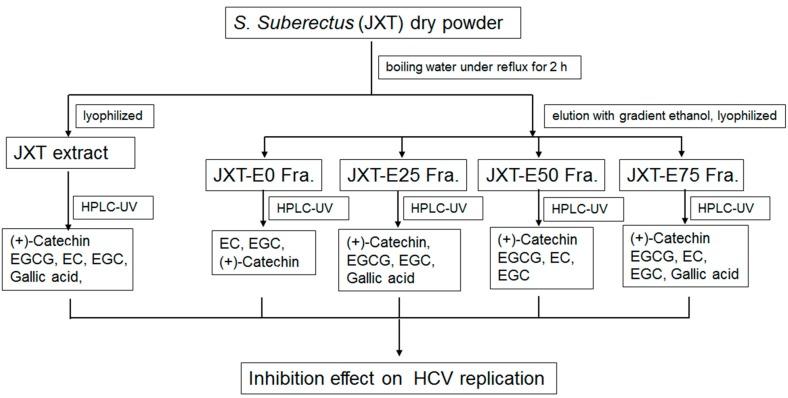 https://cdn.ncbi.nlm.nih.gov/pmc/blobs/28e0/6274077/835b80904978/molecules-21-01367-g001.jpg