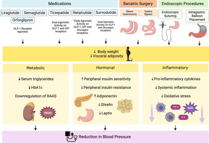 https://cdn.ncbi.nlm.nih.gov/pmc/blobs/28e2/12319540/33fe1d9a0d26/sfaf218fig2.jpg
