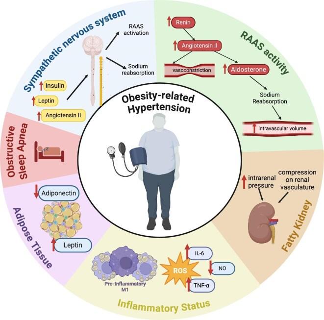 https://cdn.ncbi.nlm.nih.gov/pmc/blobs/28e2/12319540/d5d4e5859341/sfaf218fig1.jpg