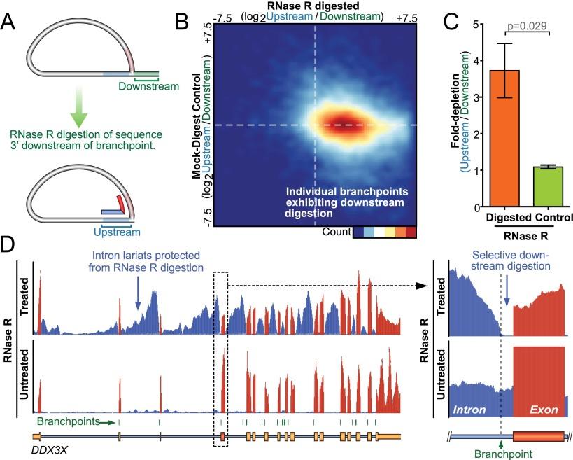 https://cdn.ncbi.nlm.nih.gov/pmc/blobs/28e2/4315302/07a0a9a851ae/290fig3.jpg