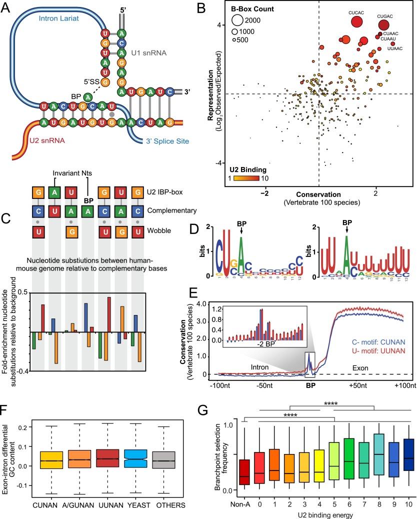 https://cdn.ncbi.nlm.nih.gov/pmc/blobs/28e2/4315302/1a0321371772/290fig5.jpg
