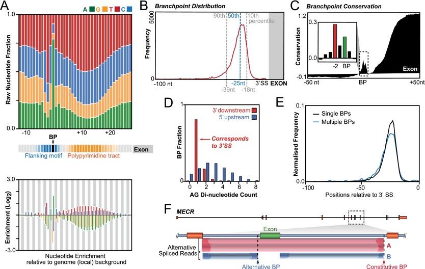 https://cdn.ncbi.nlm.nih.gov/pmc/blobs/28e2/4315302/e40064bd3fbf/290fig4.jpg