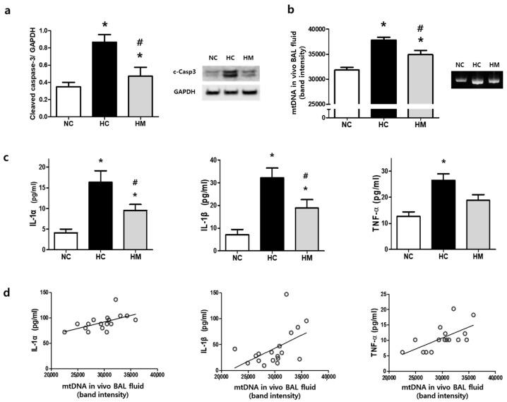 https://cdn.ncbi.nlm.nih.gov/pmc/blobs/28e4/10968483/45b51ea11954/biomedicines-12-00686-g002.jpg