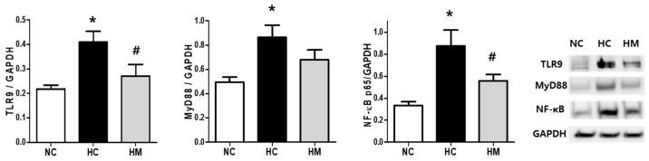 https://cdn.ncbi.nlm.nih.gov/pmc/blobs/28e4/10968483/bab9ce83d9e9/biomedicines-12-00686-g003.jpg