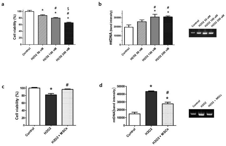 https://cdn.ncbi.nlm.nih.gov/pmc/blobs/28e4/10968483/d4215b148efa/biomedicines-12-00686-g001.jpg