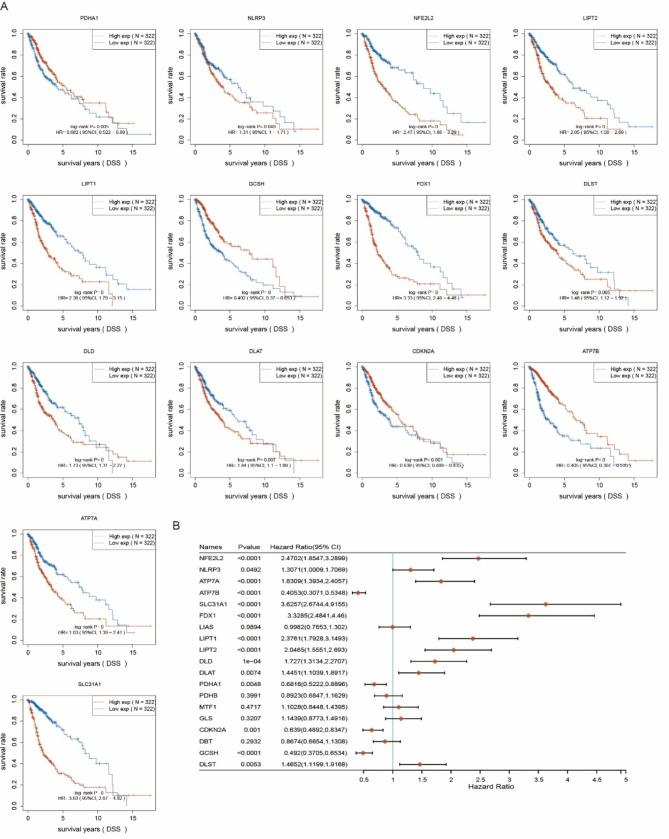 https://cdn.ncbi.nlm.nih.gov/pmc/blobs/28e4/12067758/3a96861376d0/12885_2025_14151_Fig4_HTML.jpg