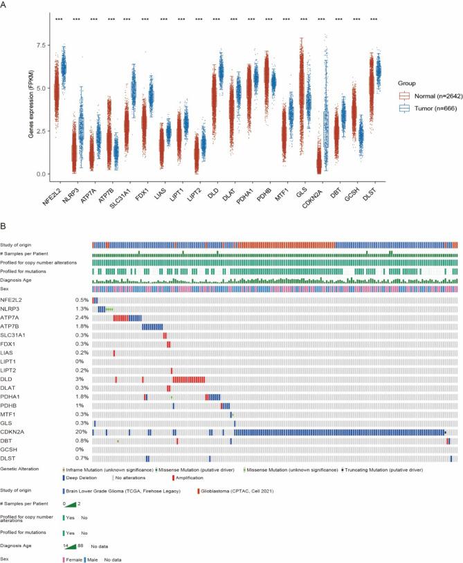 https://cdn.ncbi.nlm.nih.gov/pmc/blobs/28e4/12067758/8f082eb4c68a/12885_2025_14151_Fig1_HTML.jpg