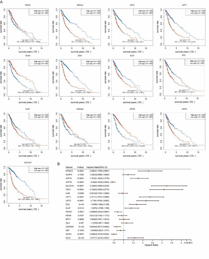 https://cdn.ncbi.nlm.nih.gov/pmc/blobs/28e4/12067758/a5f05de8baf4/12885_2025_14151_Fig2_HTML.jpg