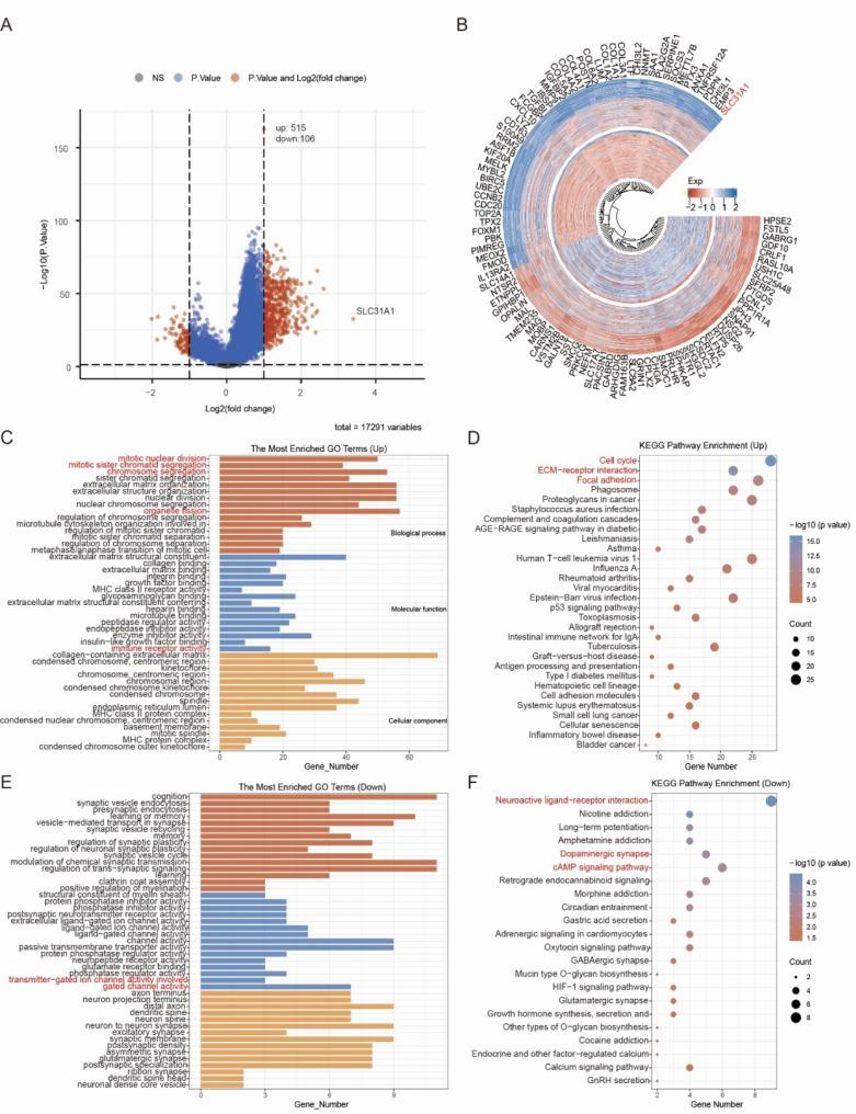 https://cdn.ncbi.nlm.nih.gov/pmc/blobs/28e4/12067758/fbb94ac42aad/12885_2025_14151_Fig6_HTML.jpg