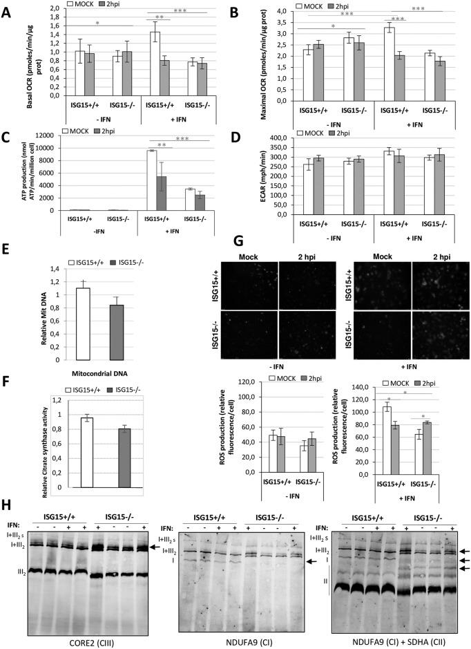 https://cdn.ncbi.nlm.nih.gov/pmc/blobs/28e5/5659798/568ec5f56fa6/ppat.1006651.g003.jpg