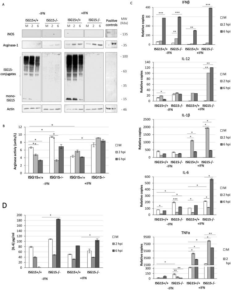 https://cdn.ncbi.nlm.nih.gov/pmc/blobs/28e5/5659798/aeda7a07173e/ppat.1006651.g005.jpg