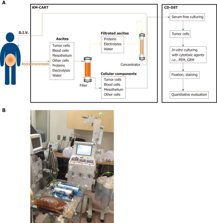 https://cdn.ncbi.nlm.nih.gov/pmc/blobs/28e5/6906570/51a05aaaf710/WJCC-7-4036-g002.jpg