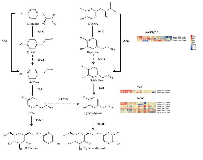 https://cdn.ncbi.nlm.nih.gov/pmc/blobs/28e6/11145772/d30366e2cad5/12870_2024_5096_Fig4_HTML.jpg
