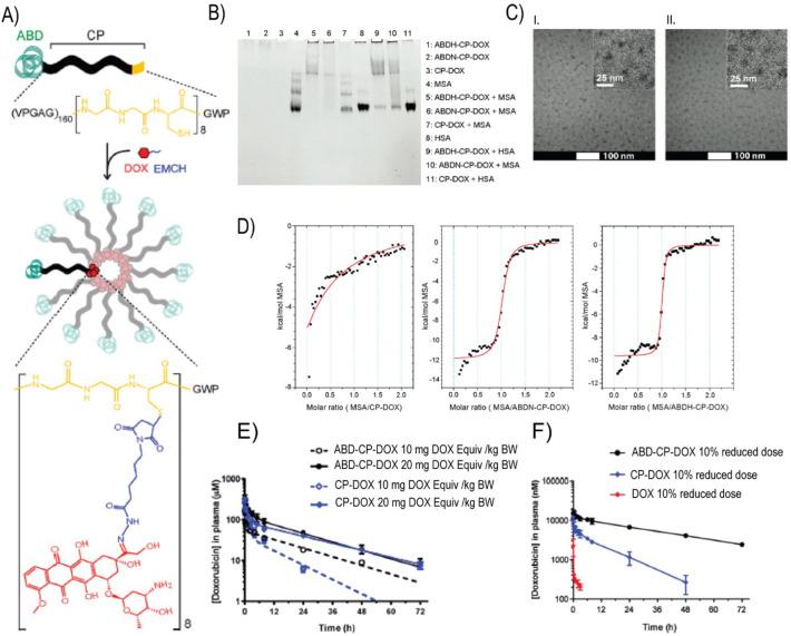 https://cdn.ncbi.nlm.nih.gov/pmc/blobs/28e6/7456198/08438150f512/gr10_lrg.jpg