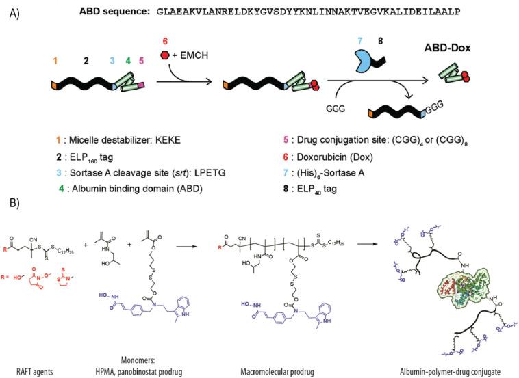 https://cdn.ncbi.nlm.nih.gov/pmc/blobs/28e6/7456198/791a5de93fb9/gr11_lrg.jpg