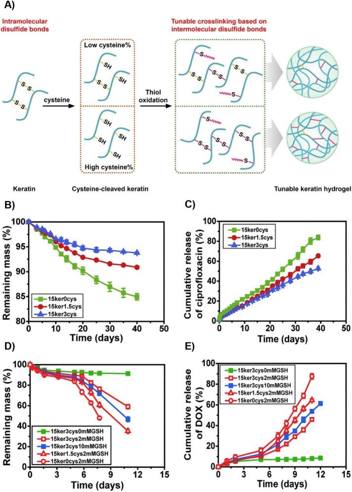 https://cdn.ncbi.nlm.nih.gov/pmc/blobs/28e6/7456198/8bc35e4e0263/gr8_lrg.jpg
