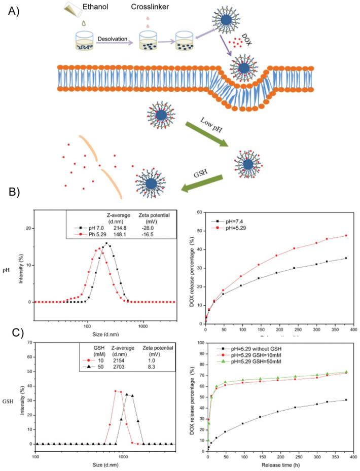 https://cdn.ncbi.nlm.nih.gov/pmc/blobs/28e6/7456198/bbf670dbf5e9/gr7_lrg.jpg
