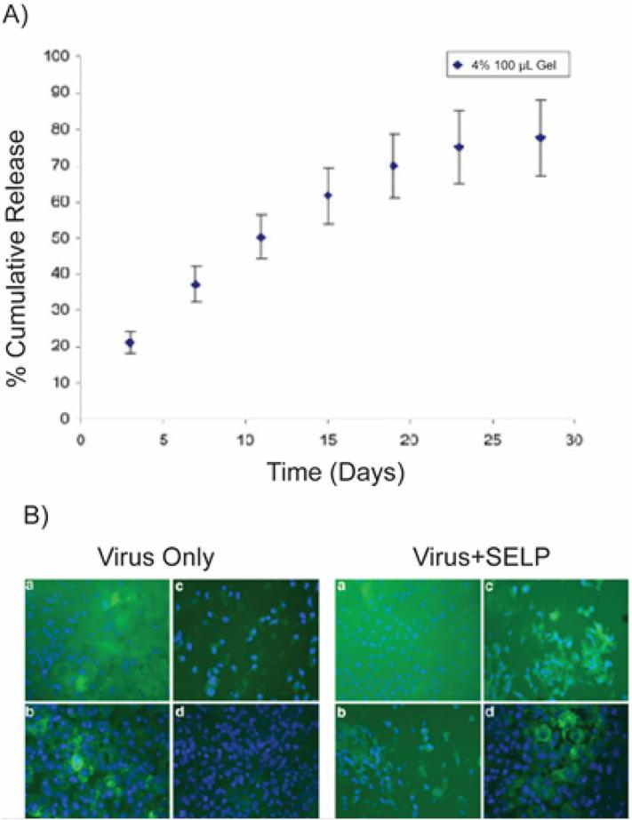 https://cdn.ncbi.nlm.nih.gov/pmc/blobs/28e6/7456198/c10535ef5868/gr24_lrg.jpg