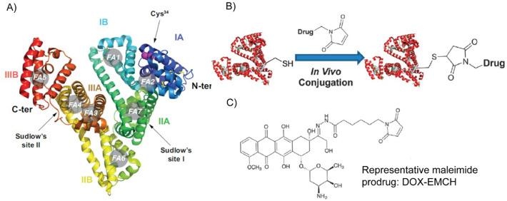 https://cdn.ncbi.nlm.nih.gov/pmc/blobs/28e6/7456198/ff99d5b6bf33/gr9_lrg.jpg
