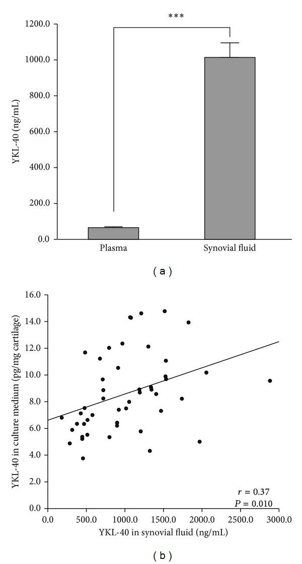 https://cdn.ncbi.nlm.nih.gov/pmc/blobs/28e7/4124234/2f422e703f21/MI2014-215140.001.jpg