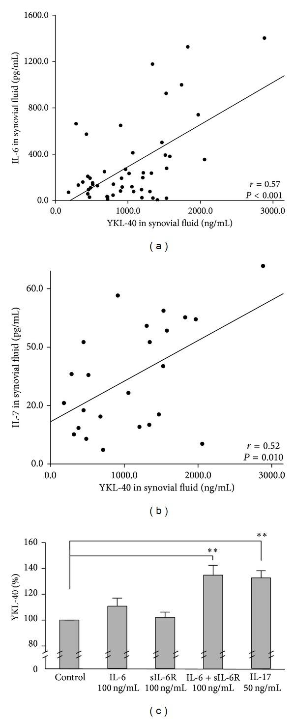 https://cdn.ncbi.nlm.nih.gov/pmc/blobs/28e7/4124234/f483268b010e/MI2014-215140.004.jpg