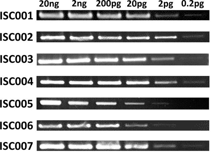 https://cdn.ncbi.nlm.nih.gov/pmc/blobs/28eb/5348045/81a494d3ad3f/pntd.0005420.g001.jpg