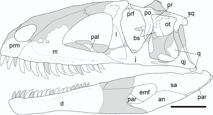 https://cdn.ncbi.nlm.nih.gov/pmc/blobs/28ec/11971988/764f7c3fad5f/peerj-13-19218-g005.jpg