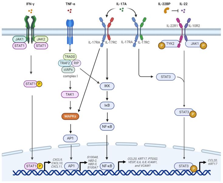 https://cdn.ncbi.nlm.nih.gov/pmc/blobs/28f5/11172960/472f21d5f654/ijms-25-06068-g001.jpg