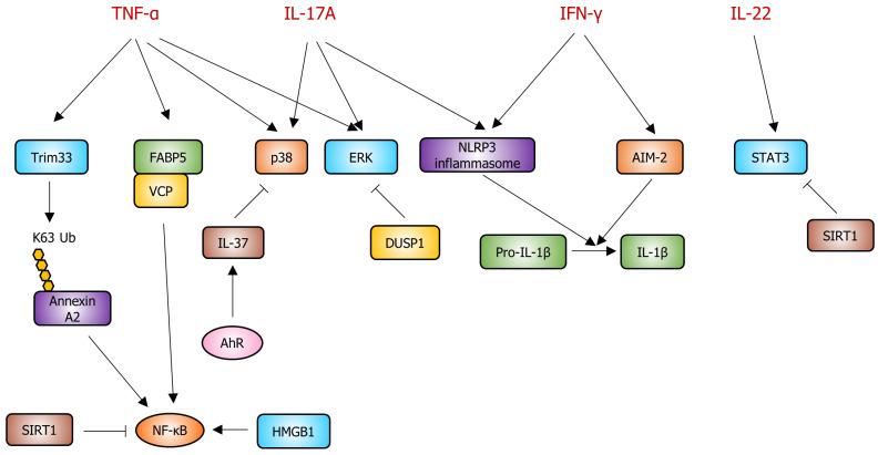 https://cdn.ncbi.nlm.nih.gov/pmc/blobs/28f5/11172960/9d00f0a3d48a/ijms-25-06068-g002.jpg