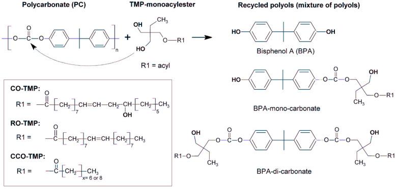https://cdn.ncbi.nlm.nih.gov/pmc/blobs/28f5/11244063/794a90908041/polymers-16-01889-g005.jpg