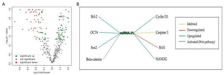 https://cdn.ncbi.nlm.nih.gov/pmc/blobs/28f5/11763652/be9a82635317/cells-14-00091-g001.jpg