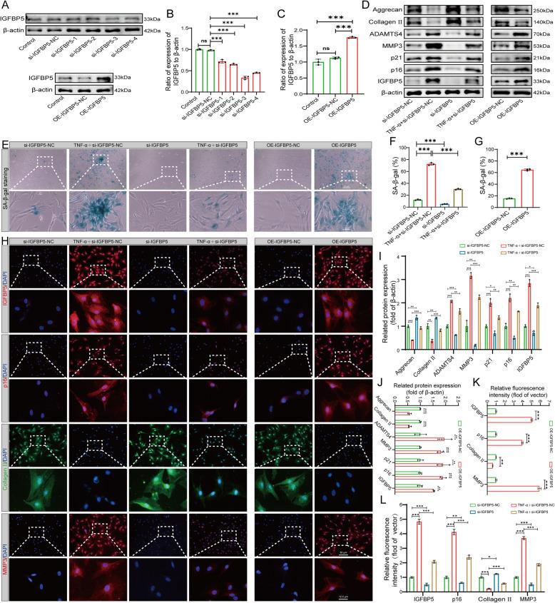 https://cdn.ncbi.nlm.nih.gov/pmc/blobs/28f5/12049776/b5c507f2a092/10020_2025_1220_Fig6_HTML.jpg