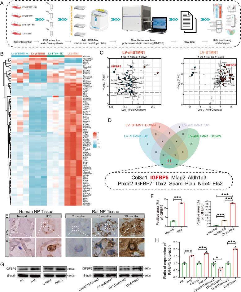 https://cdn.ncbi.nlm.nih.gov/pmc/blobs/28f5/12049776/c1ea1ce70d73/10020_2025_1220_Fig5_HTML.jpg