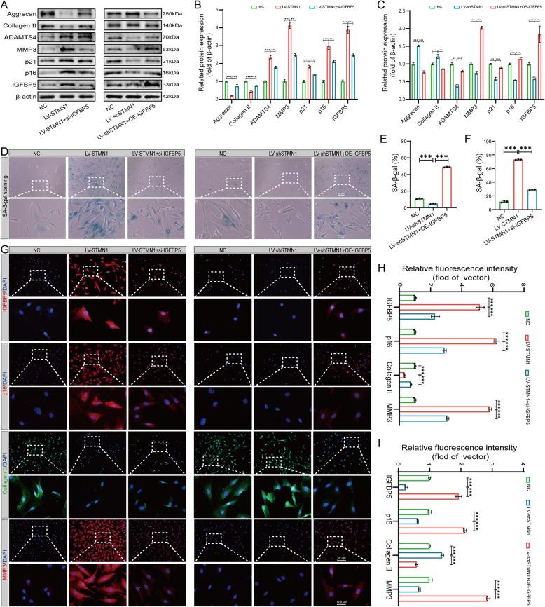 https://cdn.ncbi.nlm.nih.gov/pmc/blobs/28f5/12049776/d4f14f68589a/10020_2025_1220_Fig7_HTML.jpg