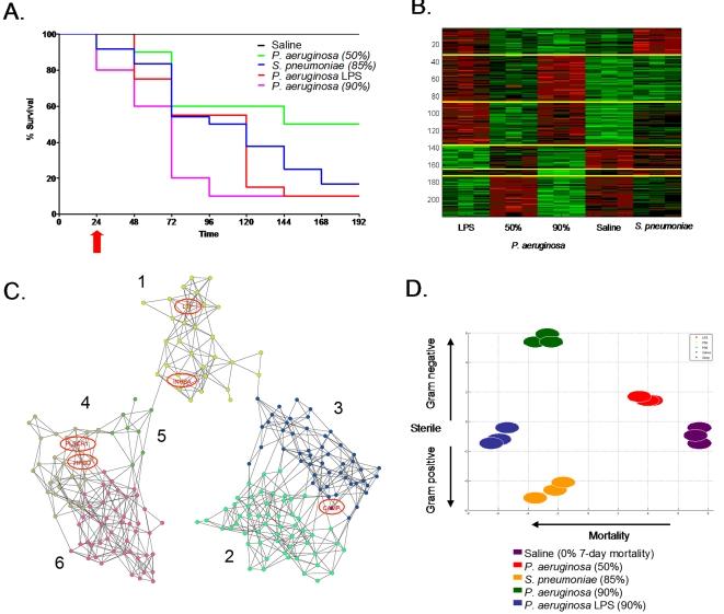 https://cdn.ncbi.nlm.nih.gov/pmc/blobs/28f6/2215774/27b3872e9dc1/pone.0001564.g001.jpg