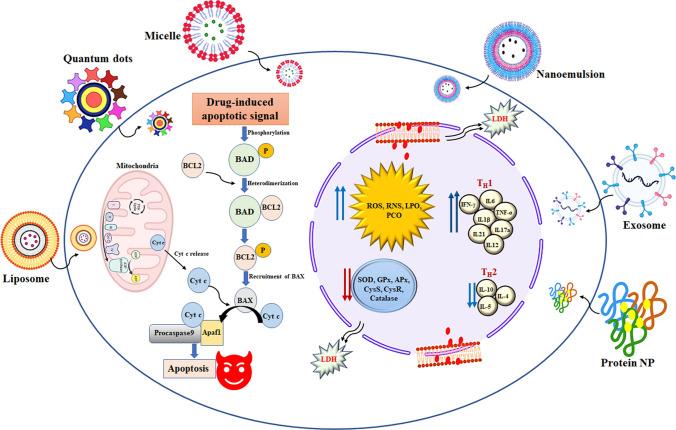 https://cdn.ncbi.nlm.nih.gov/pmc/blobs/28f7/10730792/5b28b9dd45a2/11671_2023_3913_Fig6_HTML.jpg
