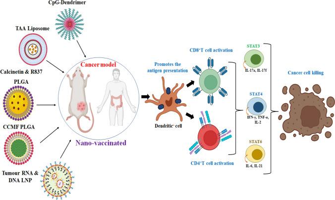 https://cdn.ncbi.nlm.nih.gov/pmc/blobs/28f7/10730792/6d18bec9e9ac/11671_2023_3913_Fig7_HTML.jpg