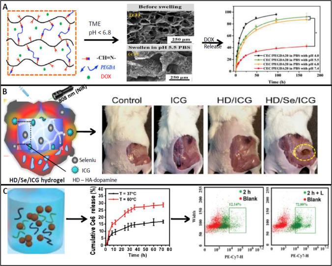 https://cdn.ncbi.nlm.nih.gov/pmc/blobs/28f7/10730792/c6ec68ba61a2/11671_2023_3913_Fig4_HTML.jpg