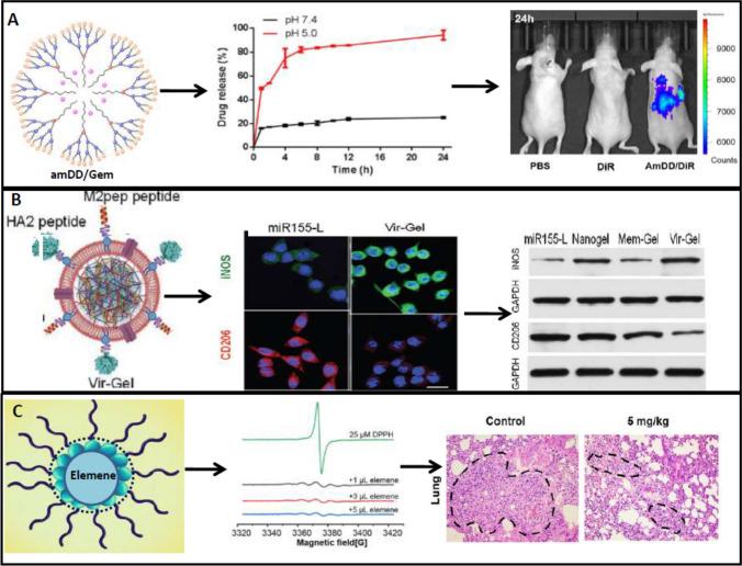 https://cdn.ncbi.nlm.nih.gov/pmc/blobs/28f7/10730792/f47b96e31827/11671_2023_3913_Fig3_HTML.jpg