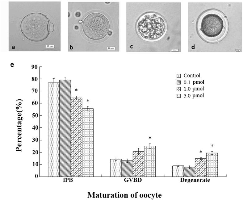https://cdn.ncbi.nlm.nih.gov/pmc/blobs/28f7/5120285/9b14961e7249/srep37677-f5.jpg
