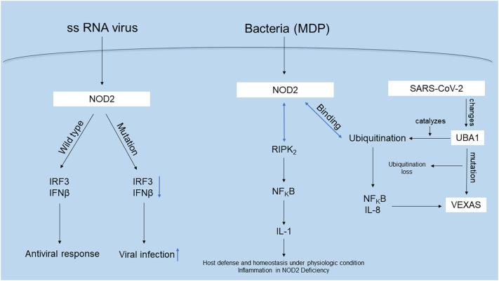 https://cdn.ncbi.nlm.nih.gov/pmc/blobs/28f9/9059341/ff676459ff01/gr2_lrg.jpg