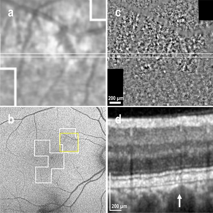 https://cdn.ncbi.nlm.nih.gov/pmc/blobs/28fb/11176374/2745f3a1a01b/41598_2024_64524_Fig5_HTML.jpg