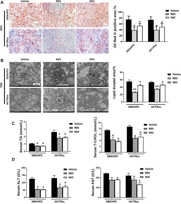https://cdn.ncbi.nlm.nih.gov/pmc/blobs/2900/12066552/5296d2c0646a/fphar-16-1574039-g003.jpg